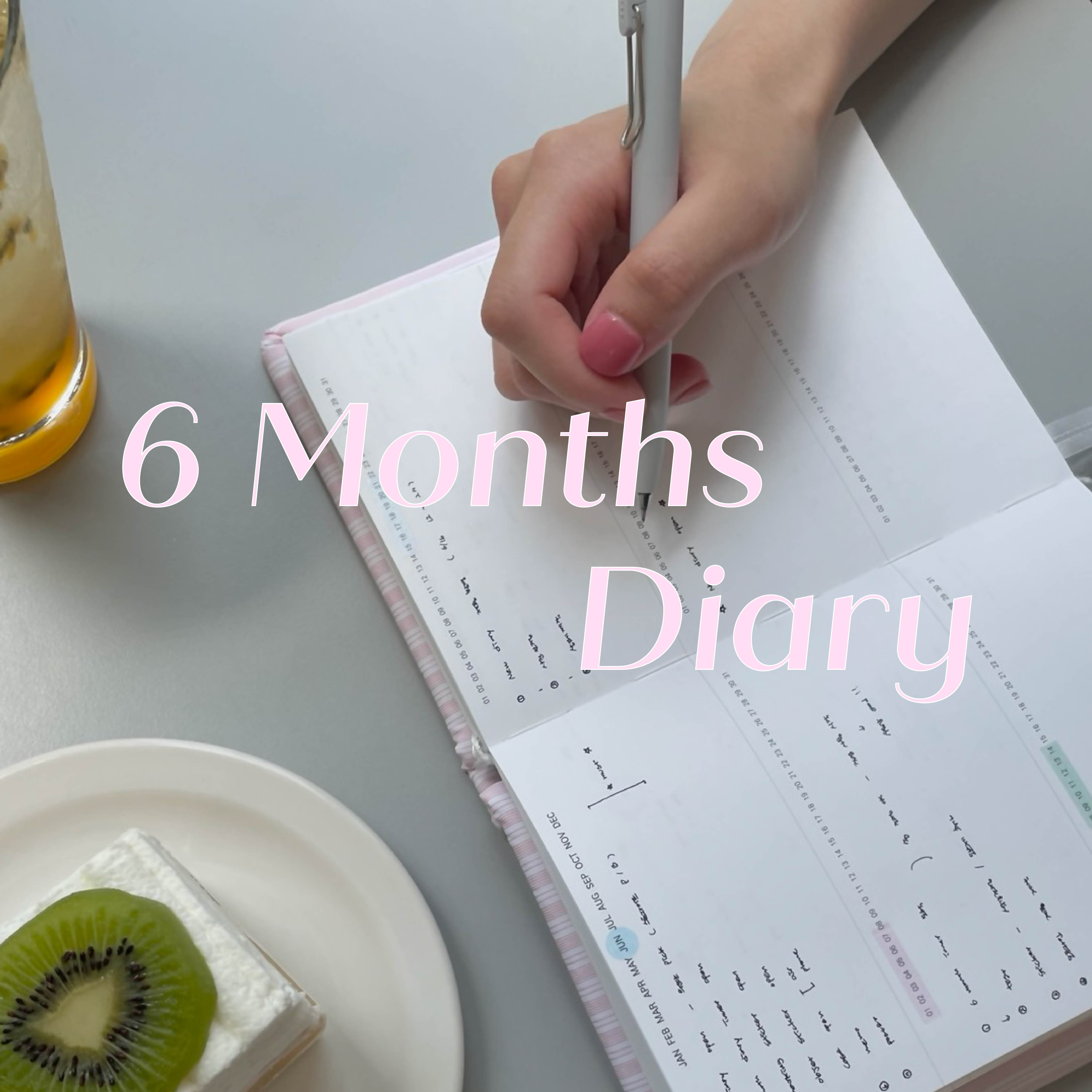 6 months diary